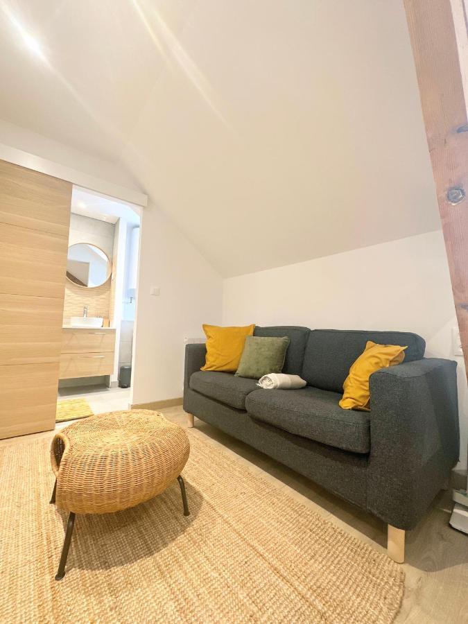 Sacre Appartement/Jardin/Parking/Wifi Rodez Buitenkant foto