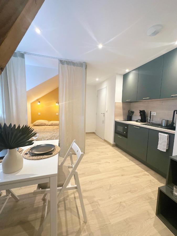 Sacre Appartement/Jardin/Parking/Wifi Rodez Buitenkant foto